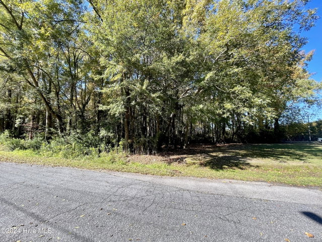 1239 Chance Boulevard, Robersonville, NC 27871 — photo 10