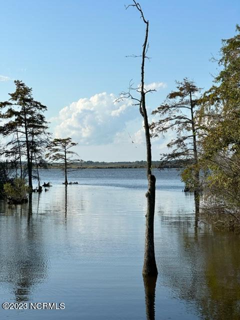 150 Trevor Way, Moyock, NC 27958 — photo 4