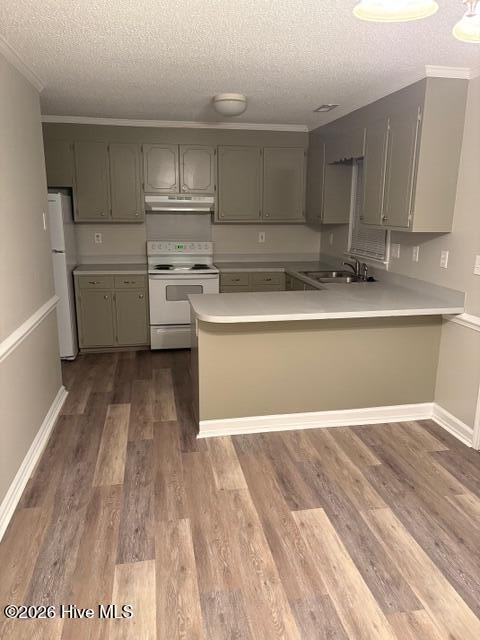 1117 Grovemont Drive I-4, Greenville, NC 27834 — photo 3