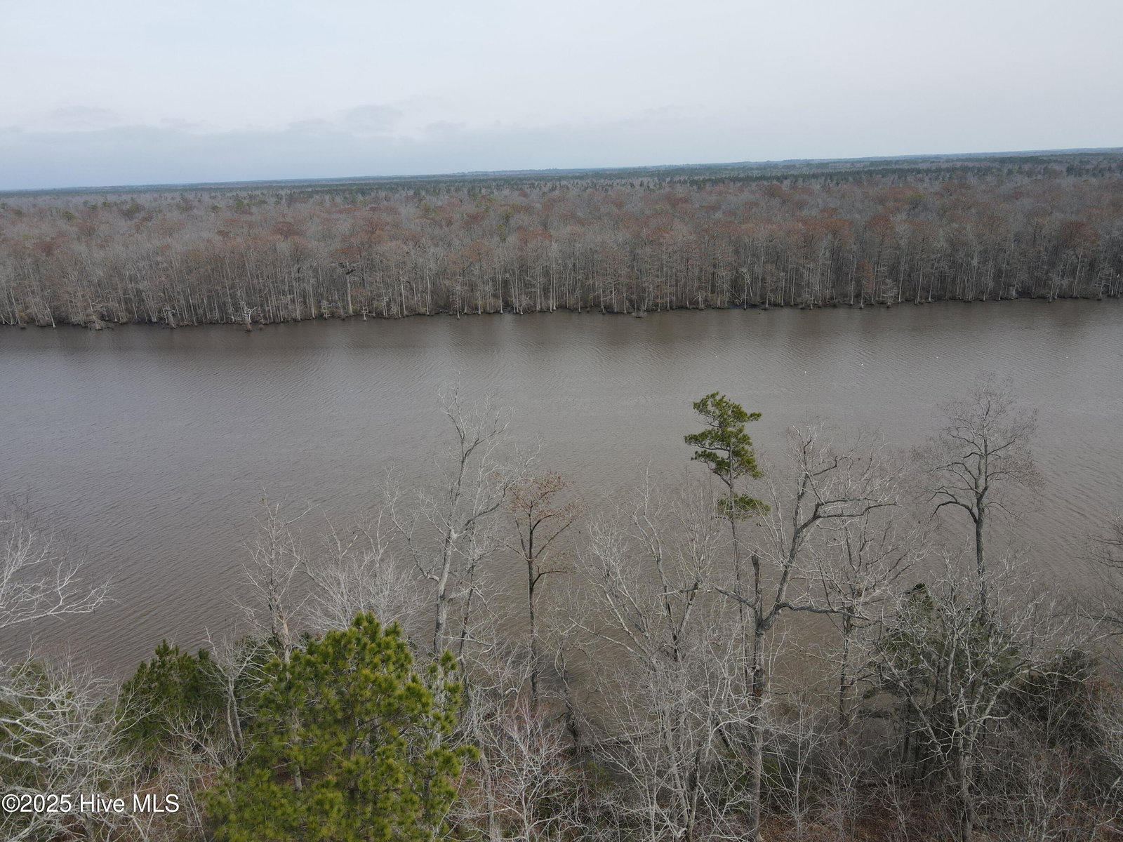 Lot 12 River Bluff Drive, Winton, NC 27986 — photo 2