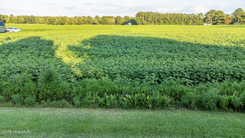 Tbd Lot# 1 Whitehat Road, Hertford, NC 27944