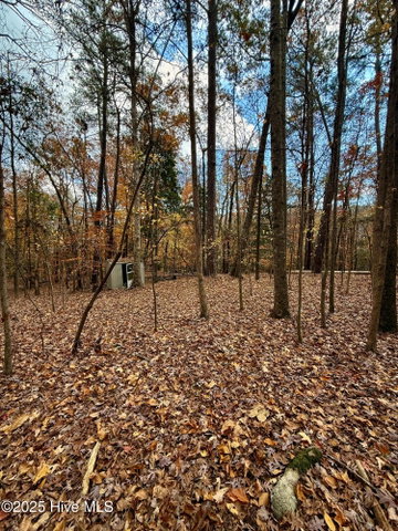 0 Williams Road, Williamston, NC 27892 — photo 16