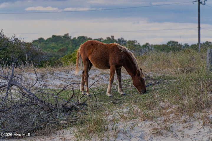 2278 Sandfiddler Road, Corolla, NC 27927 — photo 13