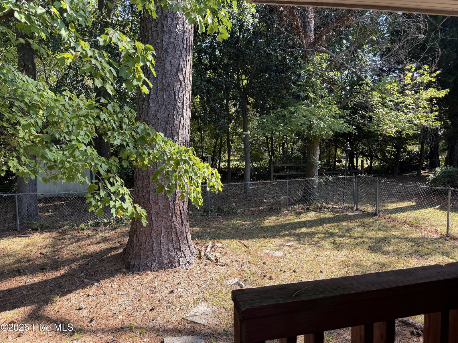 305 Crestline Boulevard, Greenville, NC 27834 — photo 4