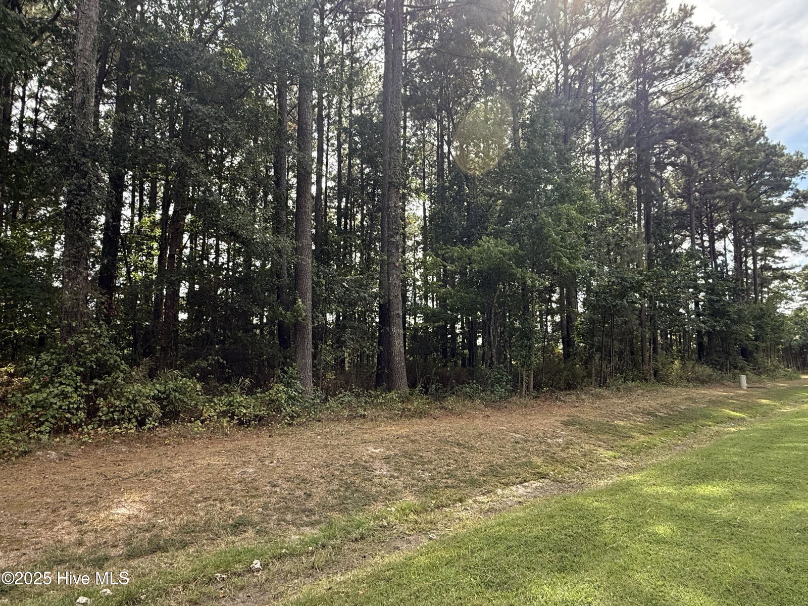 124 2 Indian Town Creek Drive, Hertford, NC 27944 — photo 5
