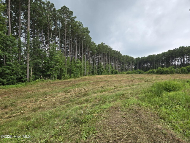 Lot 50 50 Roseheath Court, Bailey, NC 27807