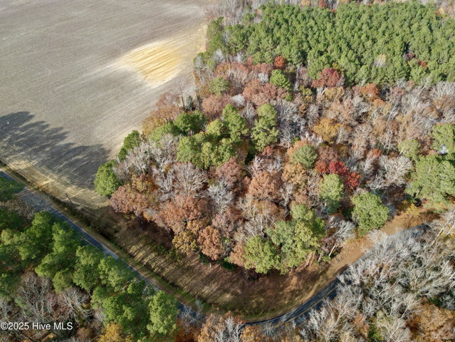 0 Williams Road, Williamston, NC 27892 — photo 3