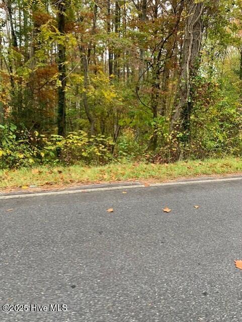 Tbd Swains Mill Road, Harrellsville, NC 27942 — photo 2