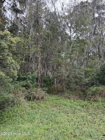 401 1 Pointe Vista Drive, Elizabeth City, NC 27909 — photo 15