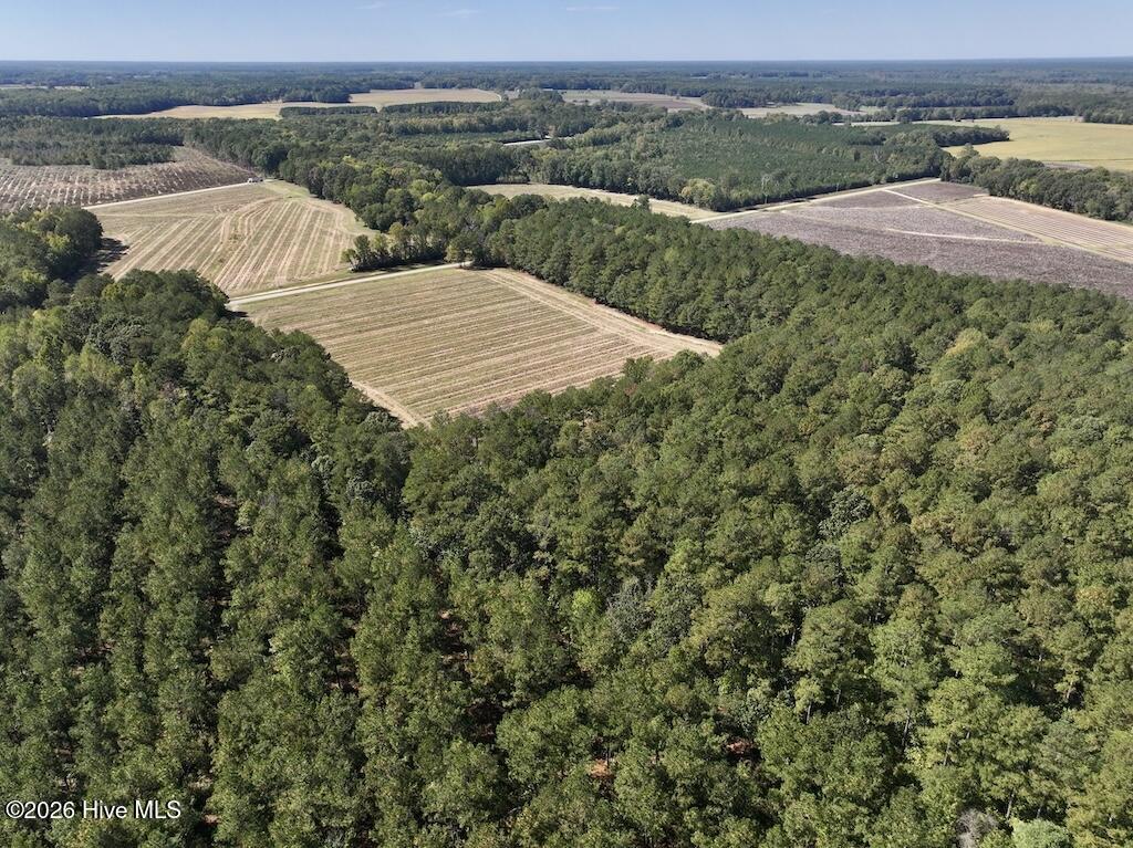 0 Spring Hill Road, Scotland Neck, NC 27874 — photo 5
