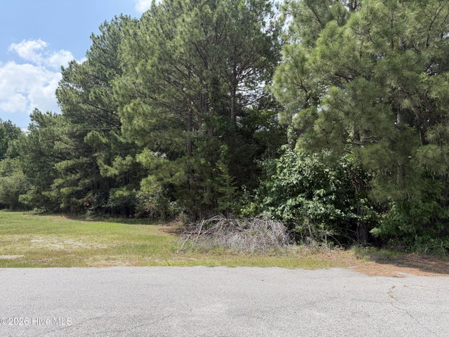 /1. N Wesleyan North Boulevard, Rocky Mount, NC 27804 — photo 4
