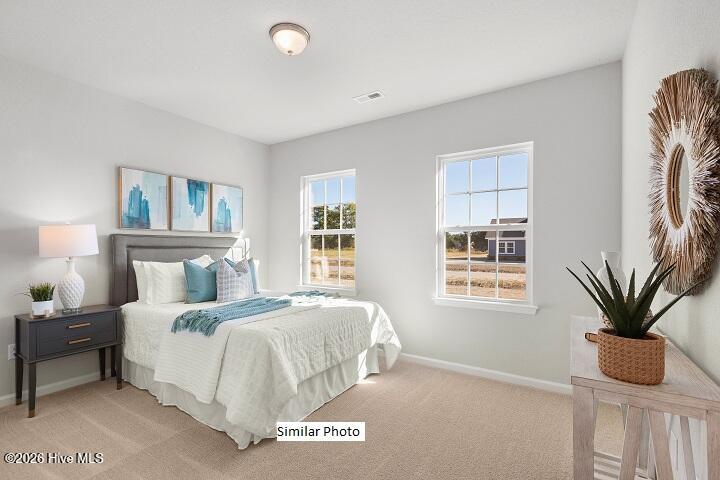 100 Apple Court, Elizabeth City, NC 27909 — photo 19