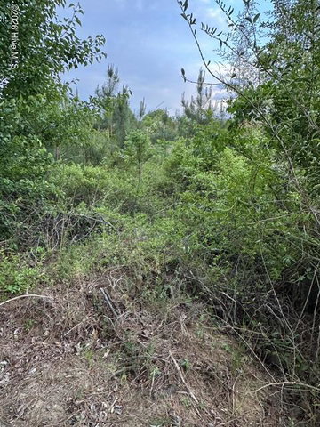 000 Duke Road, Castalia, NC 27816
