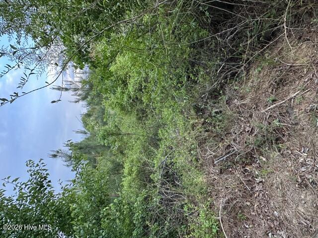 000 Duke Road, Castalia, NC 27816 — main photo