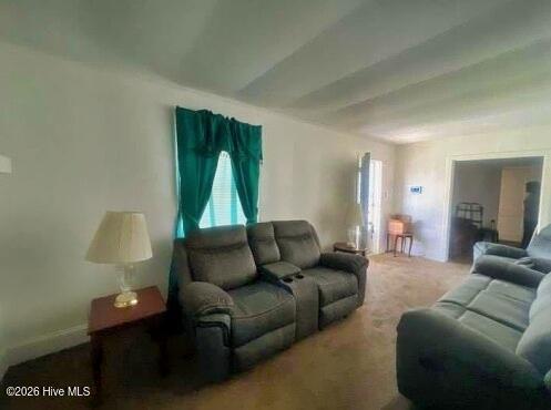 301 W 10th Street, Scotland Neck, NC 27874 — photo 4