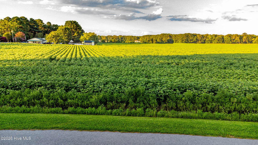 Tbd Lot# 3 Whitehat Road, Hertford, NC 27944