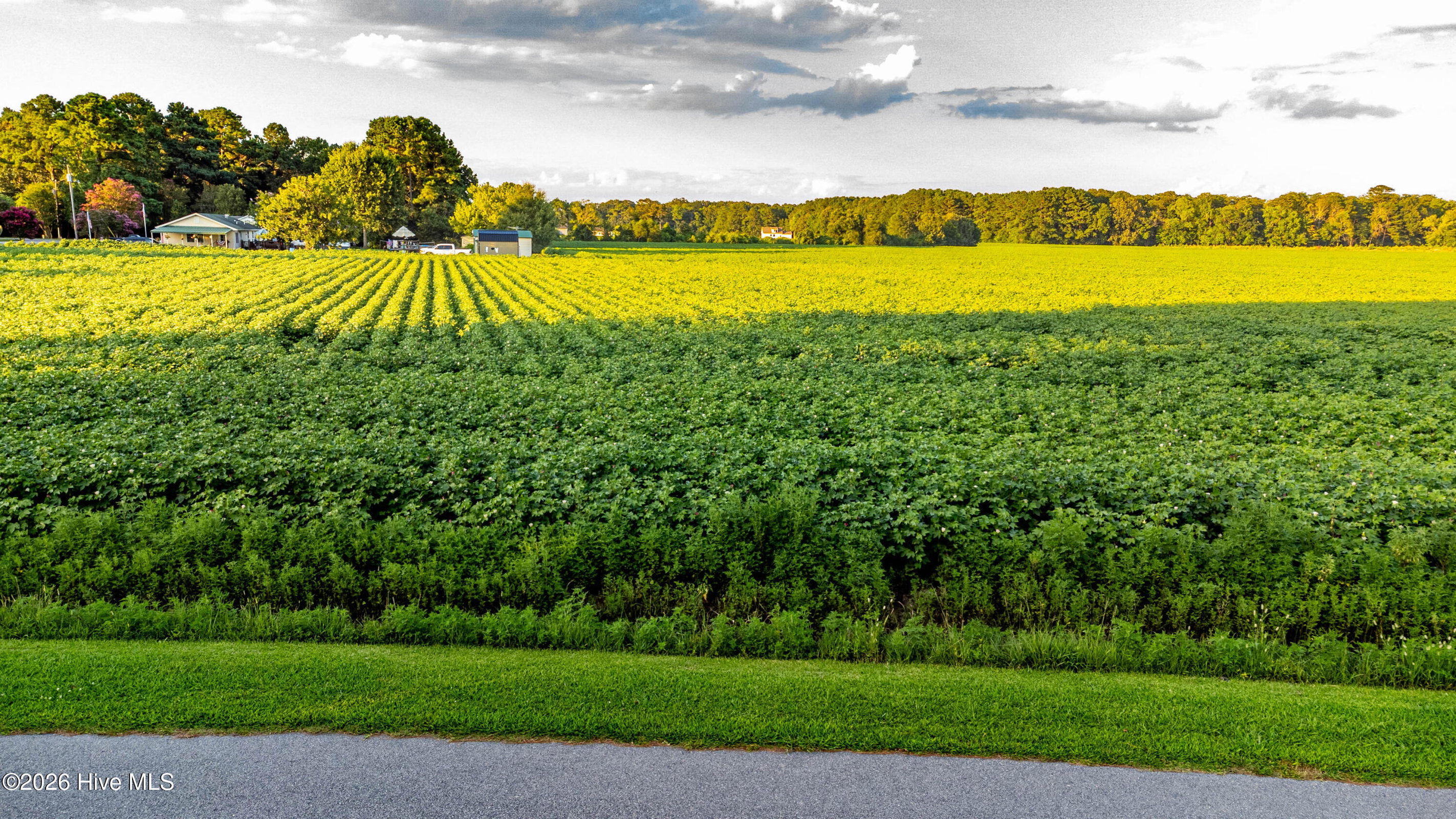 Tbd Lot# 3 Whitehat Road, Hertford, NC 27944 — main photo