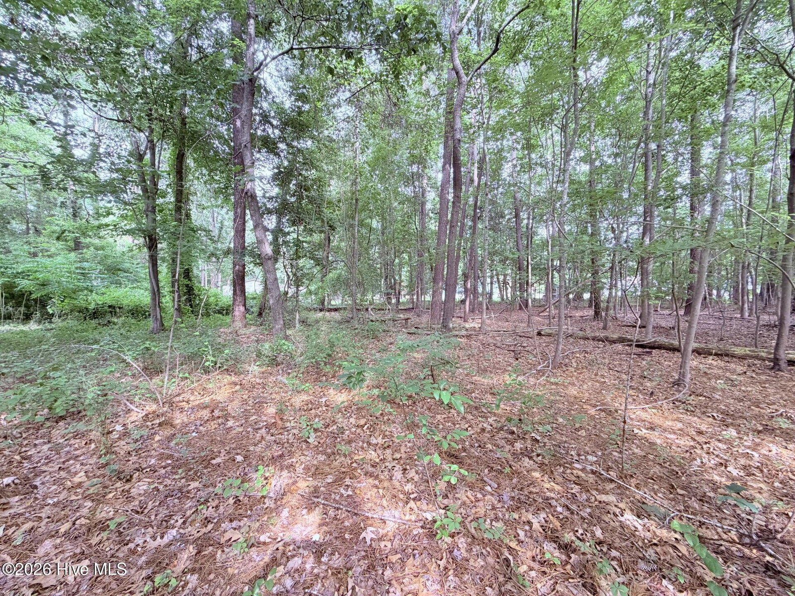 73 73 Laurel Street, Hertford, NC 27944 — photo 4
