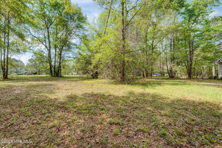 161 Maple Creek Drive image