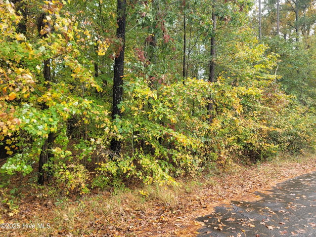 Lot #17 17 Dogwood Trail, Elizabeth City, NC 27909 — photo 2