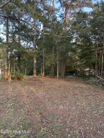 Lot 2 Newberry Landing, Roper, NC 27970 — photo 5