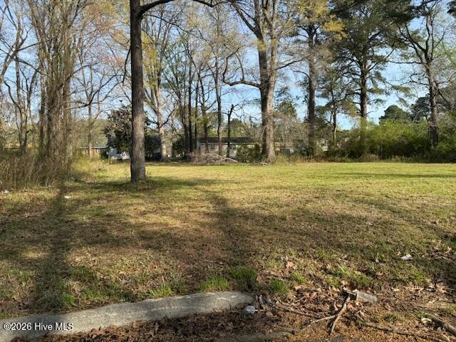 Tbd Hill Street, Ahoskie, NC 27910 — photo 2