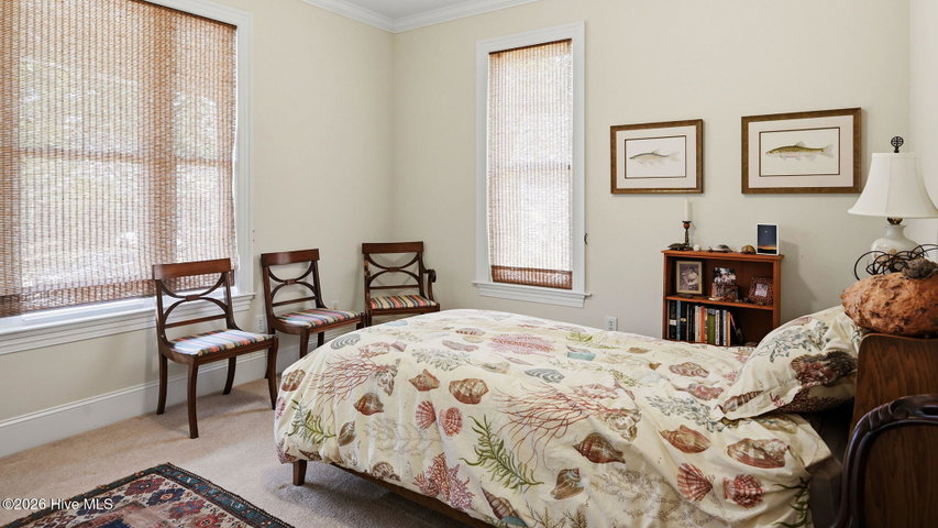 3709 Cattail Lane, Greenville, NC 27858 — photo 32