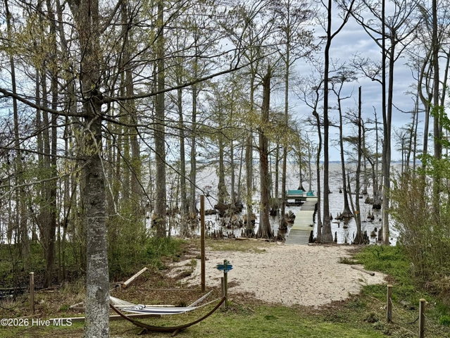 380 Beech Bay Road, Roper, NC 27970 — photo 60