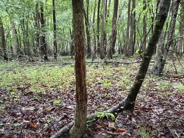 0 Kirkman Road, Robersonville, NC 27871 — photo 19