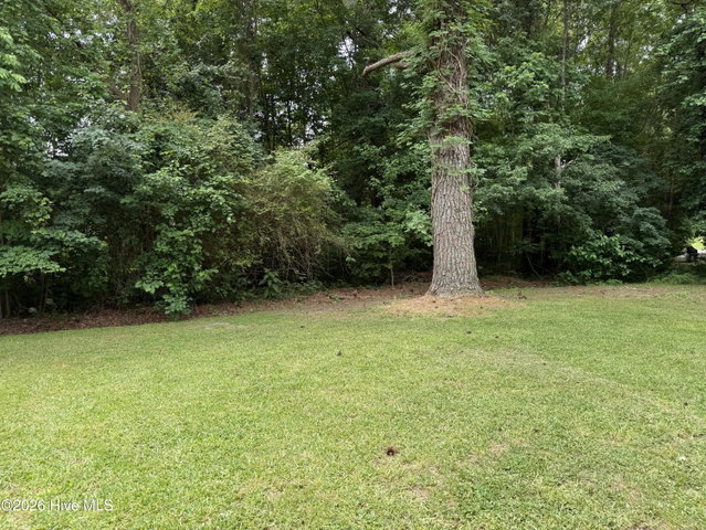 424 White Oak Drive, Edenton, NC 27932 — photo 17
