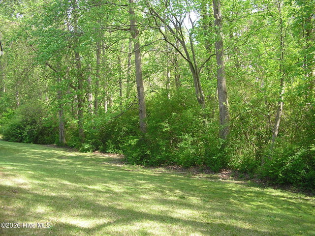 3128 Ruth Court, Greenville, NC 27834 — photo 27
