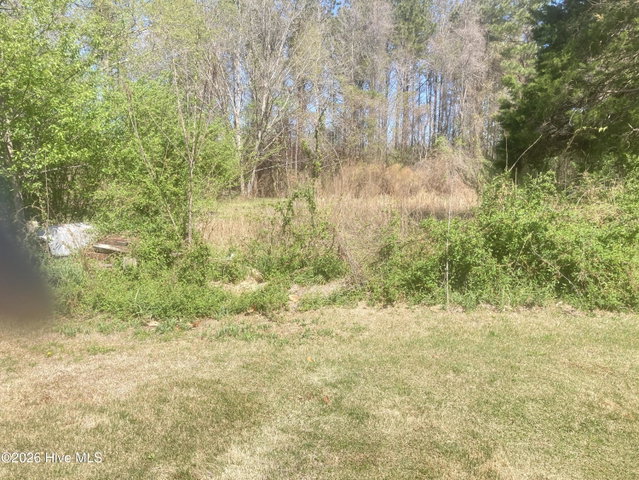 1586 Gum Swamp Church Road, Greenville, NC 27834 — photo 101