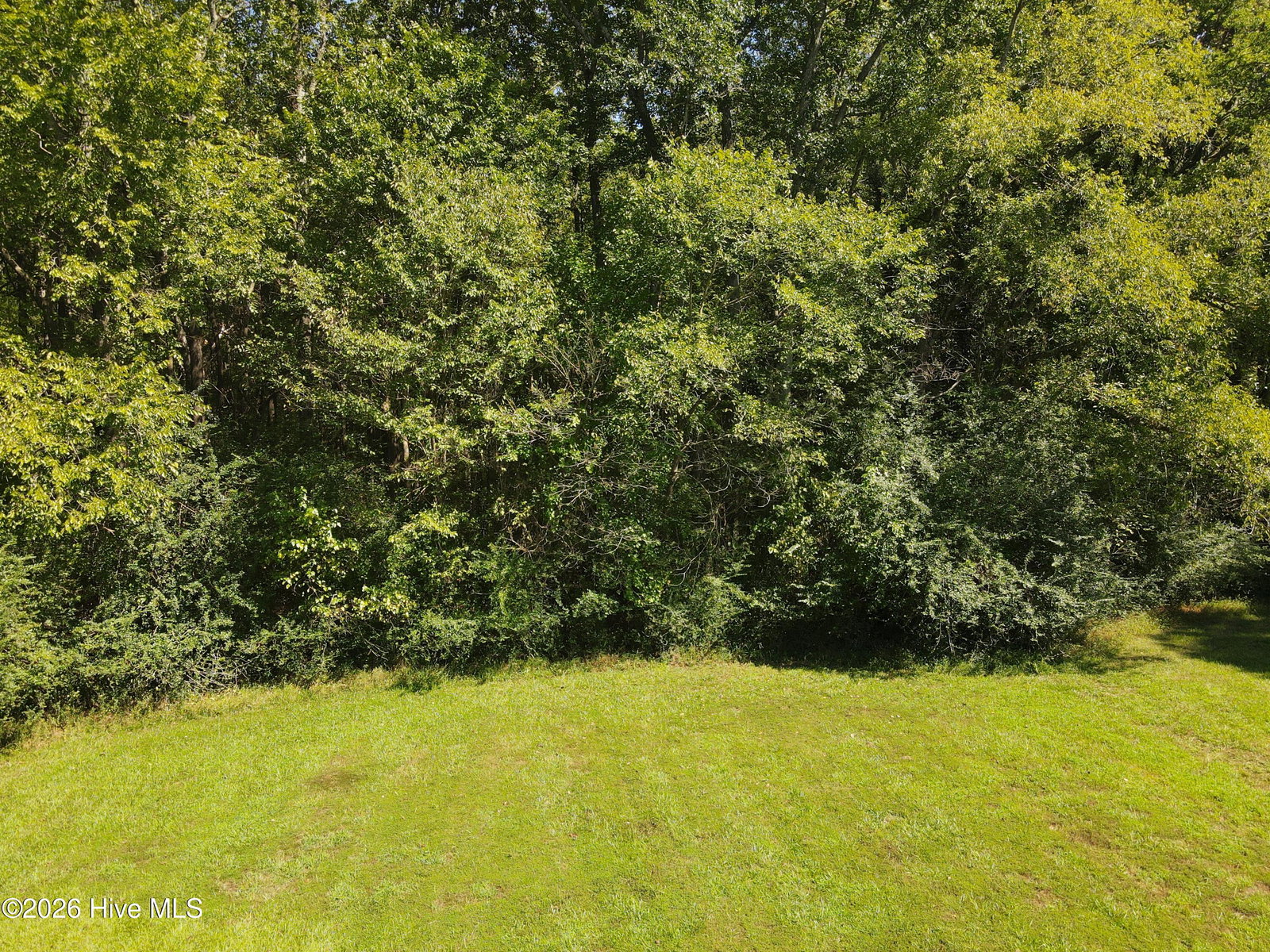 Tbd Bryantown Road, Jackson, NC 27845 — photo 2