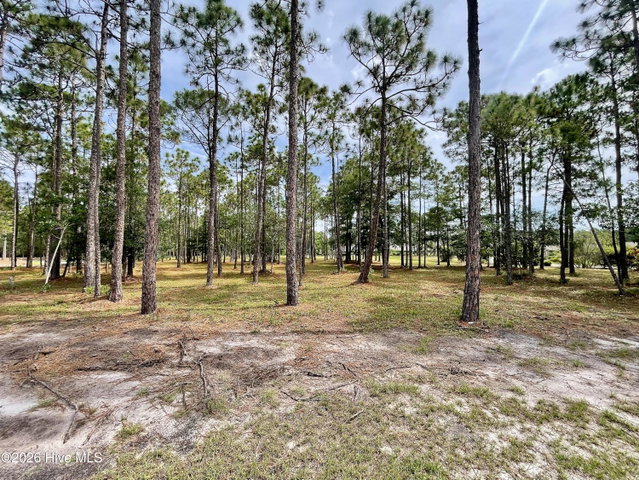 6804 41 Beckman Circle SW image