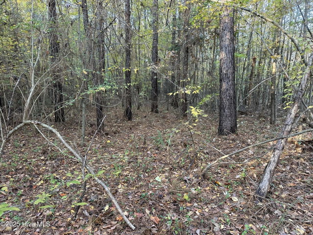 Lot 95-77 P95-77 Crocker Hill Road, Elizabeth City, NC 27909 — photo 9