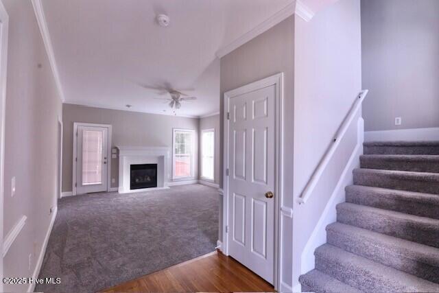 3731 Langston Boulevard, Winterville, NC 28590 — photo 3