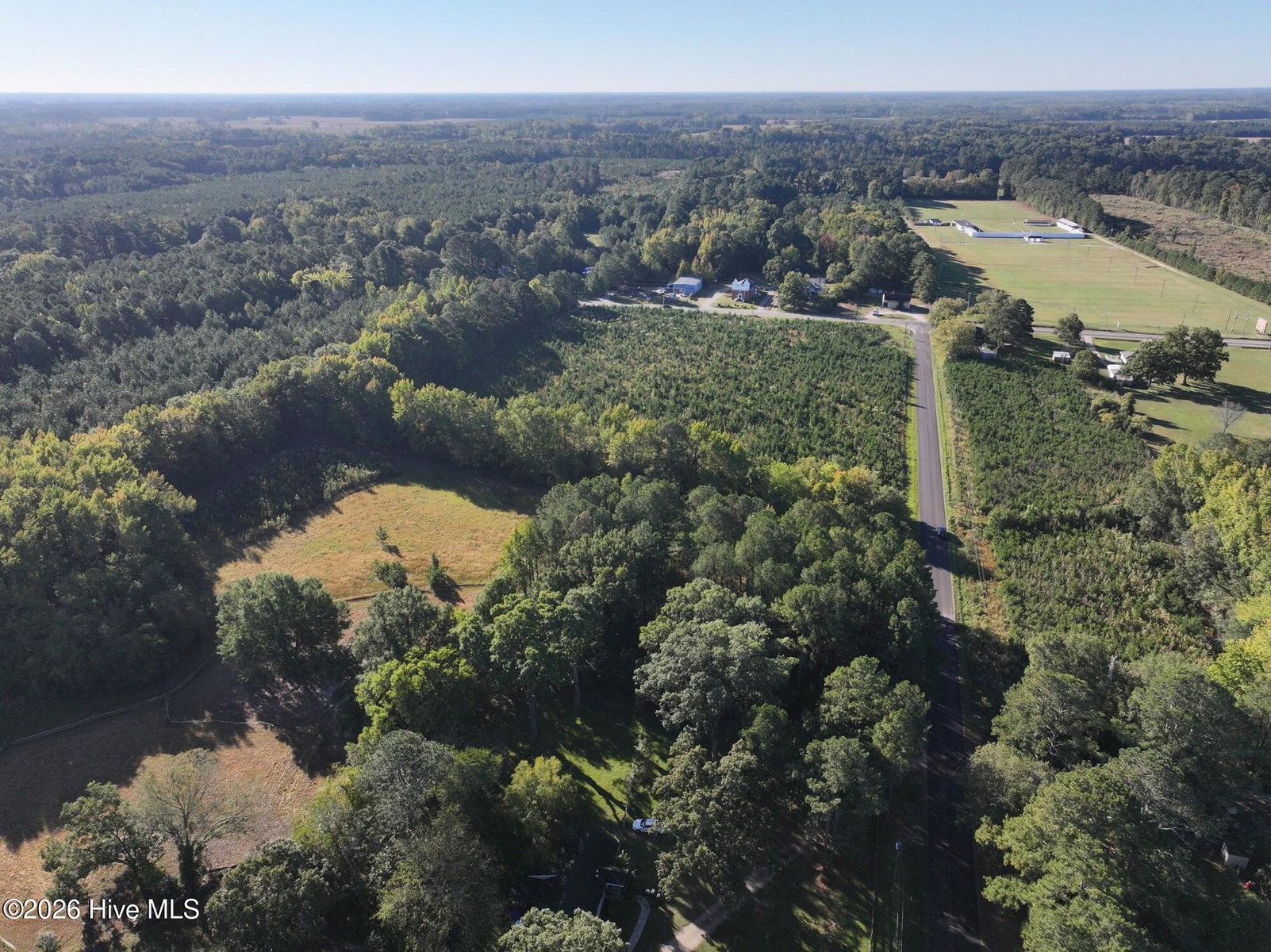 877 Cox Avenue, Rocky Mount, NC 27801 — photo 5