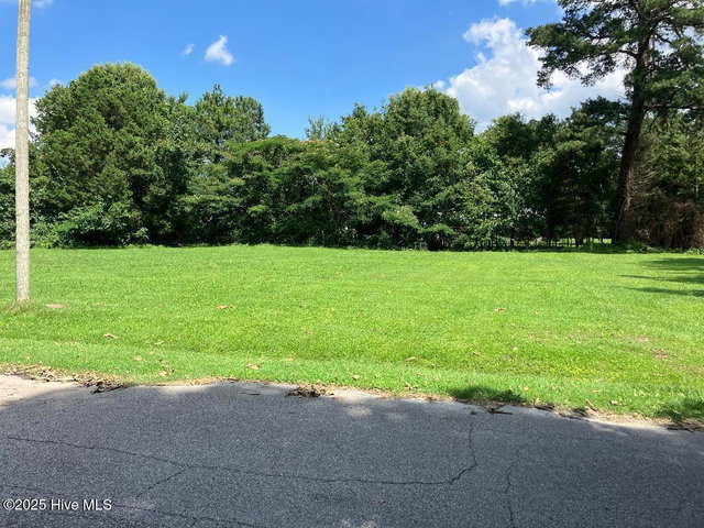 0 Pitt Street, Grimesland, NC 27837 — photo 3