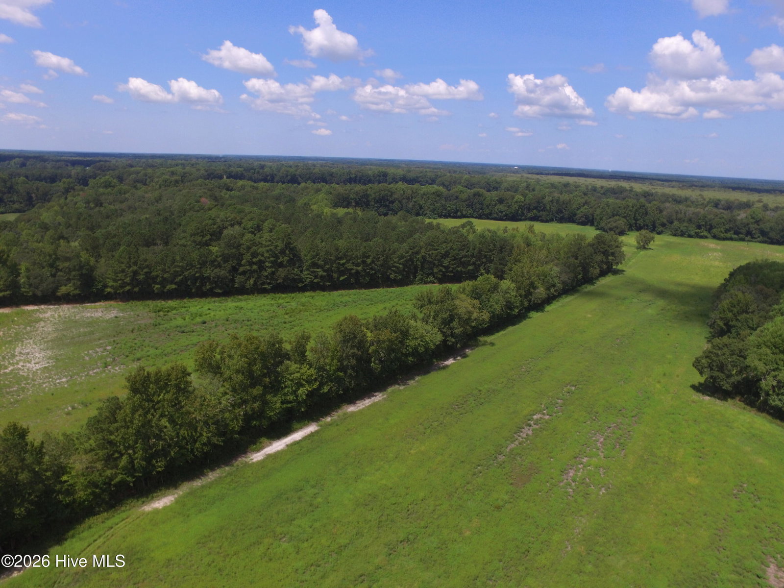 0 Grimesland Bridge Road, Grimesland, NC 27837 — photo 4