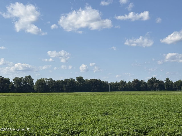 3085 Fire Dept Road, Williamston, NC 27892 — photo 18