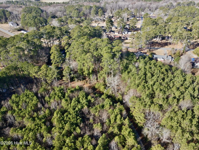 0 Alexander Lane, Williamston, NC 27892 — photo 8
