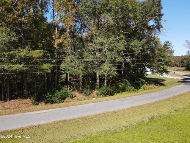 1239 Chance Boulevard, Robersonville, NC 27871 — photo 11