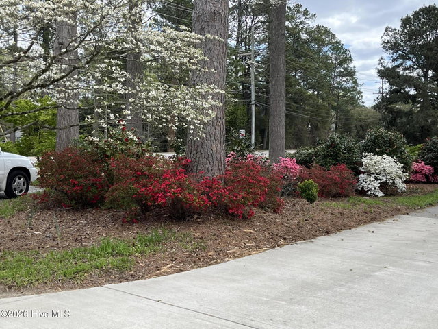 5946 May Boulevard, Farmville, NC 27828 — photo 2