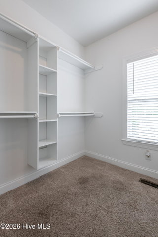 308 Guiness Drive, Winterville, NC 28590 — photo 34