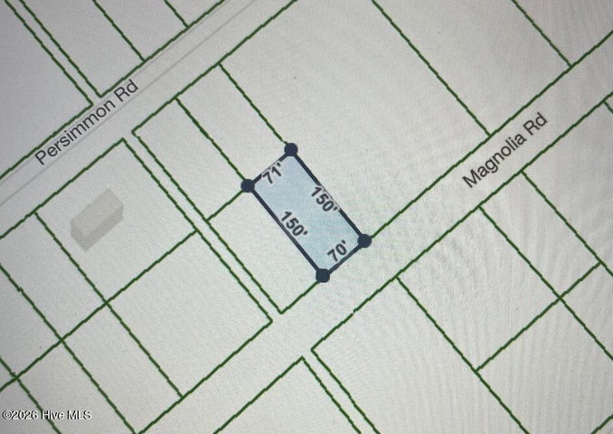 323 Magnolia Road image