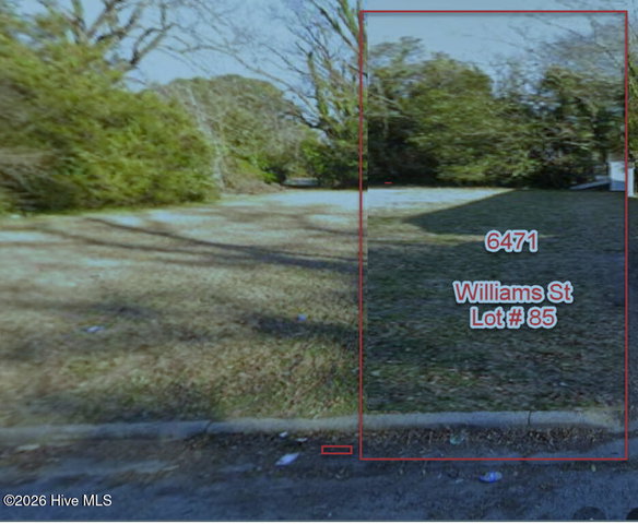 85 85 4617821004 Williams Street, Farmville, NC 27828 — photo 2