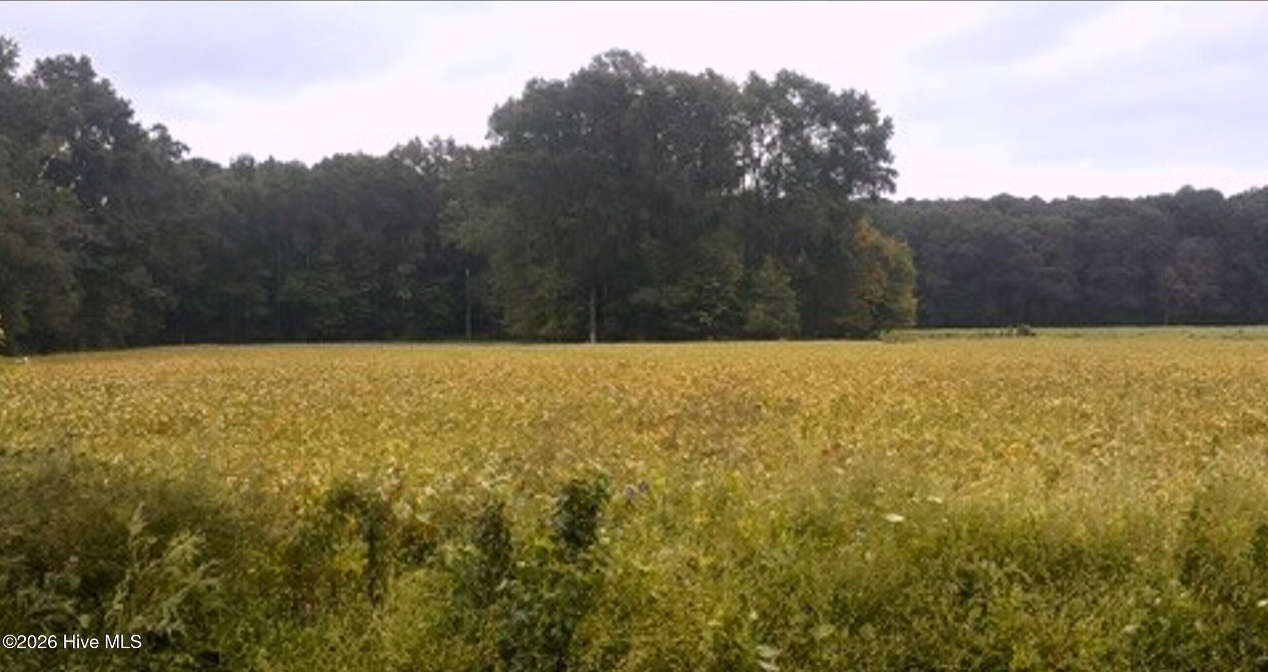 0 Rountree Road, Winterville, NC 28590 — main photo