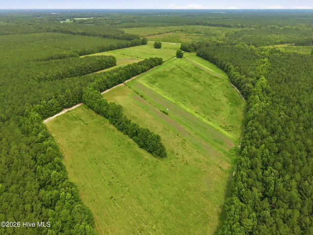 00 Gaskins Road, Grimesland, NC 27837 — photo 12