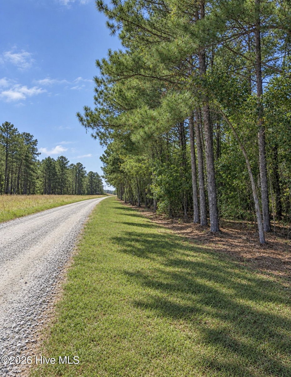 0 5 Default Street Lot 5, Scranton, NC 27875 — photo 2