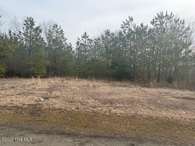 Tbd Carter Street, Woodland, NC 27897 — photo 2